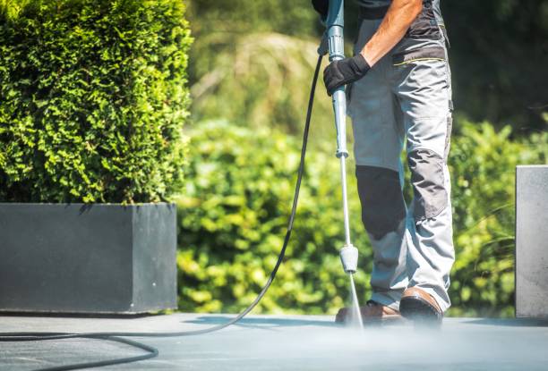 Best Solar Panel Cleaning  in Brinckerhoff, NY